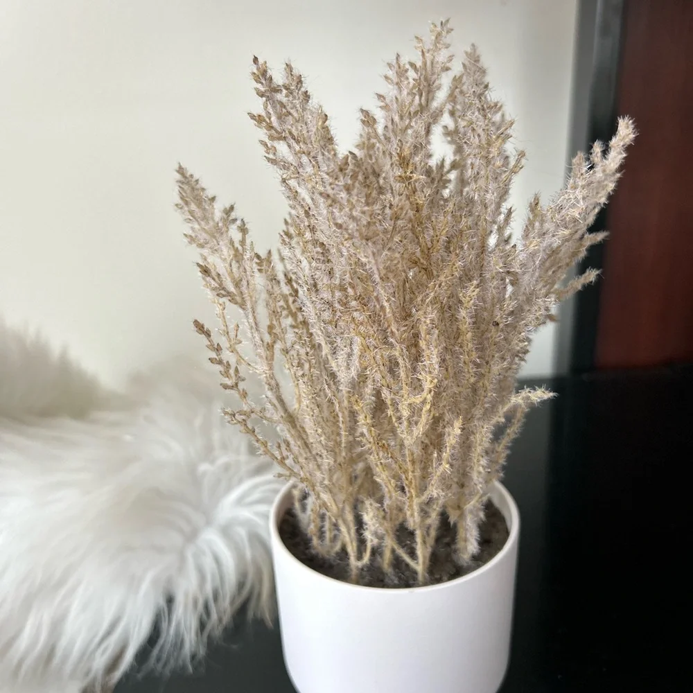 Natural Dried Grass in White Pot new